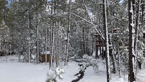 A snow-covered forest path leading to a cabin with a wooden deck. -  SWEET, IMPECCABLE CABIN IN THE PINES ! HIKING, LAKES! (Show Low)