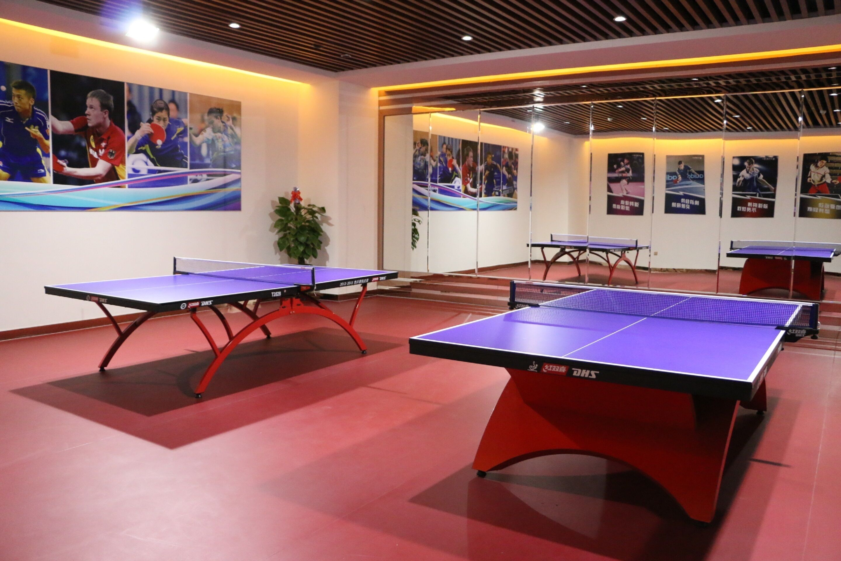 A room with four ping pong tables, a potted plant, and posters on the walls.
