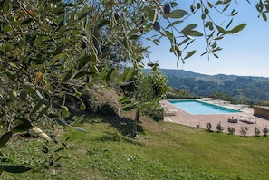 Pool - Romantic detached cottage with pool, in a farm between Arezzo and Florence (PRATOVECCHIO)