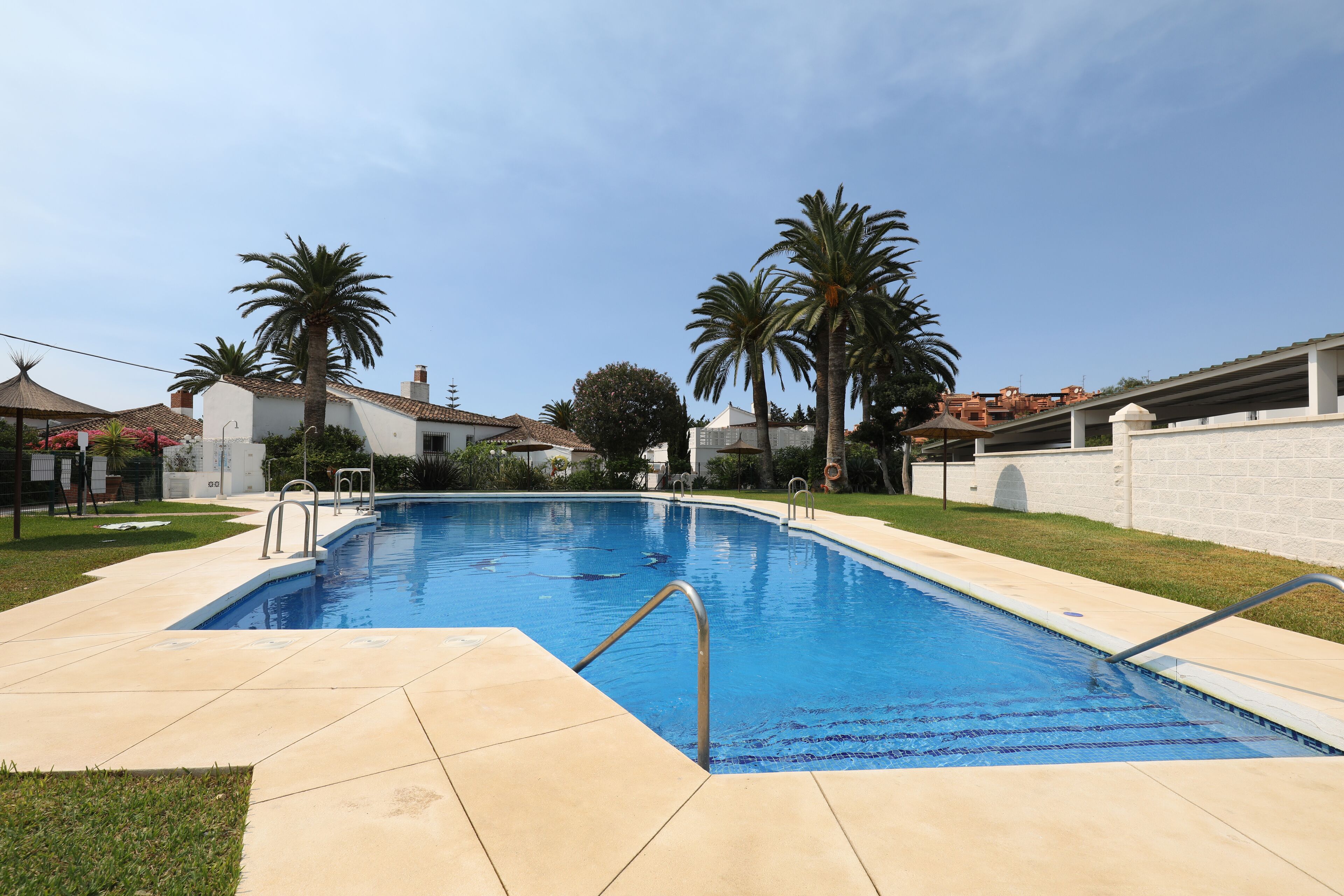 Une piscine rectangulaire, bordée d’une terrasse carrelée et entourée de palmiers et d’un mur blanc.