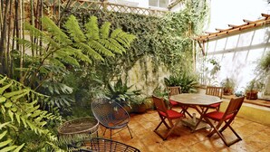 Une terrasse dotée d’une table ronde en bois et de quatre chaises, entourée d’une végétation luxuriante et de plantes de bambou.