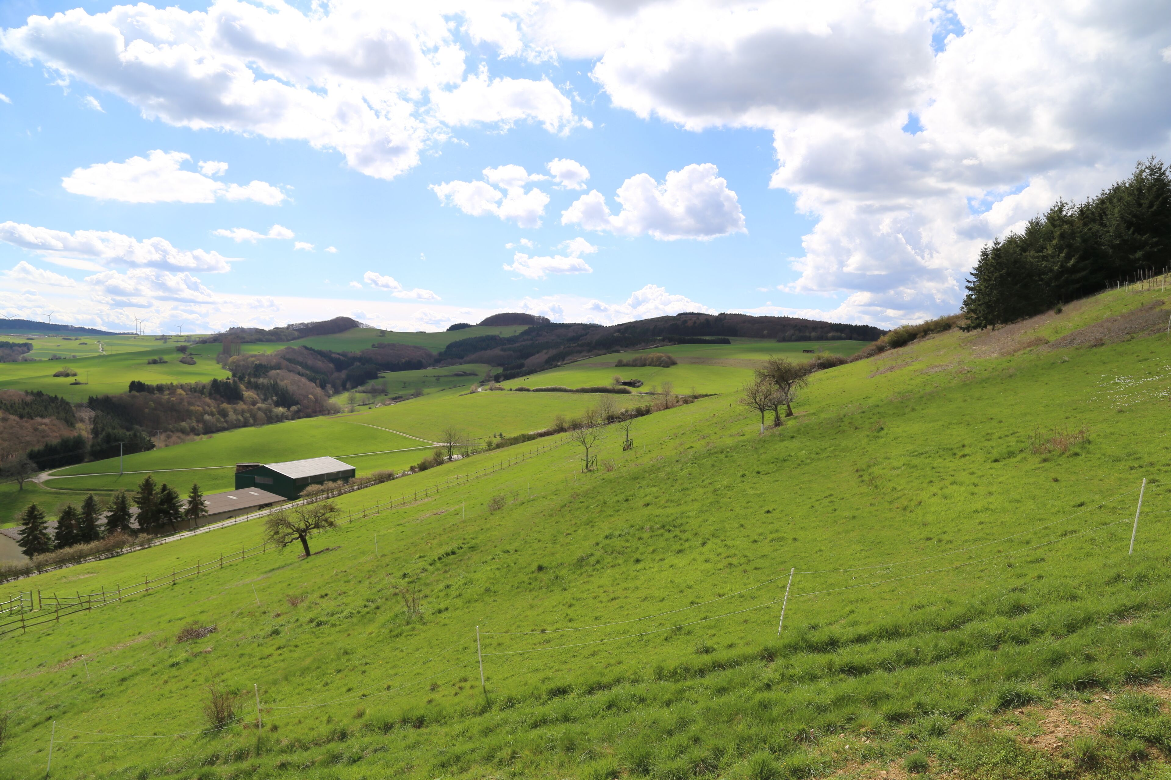 A green landscape with a building, trees, and a fence.