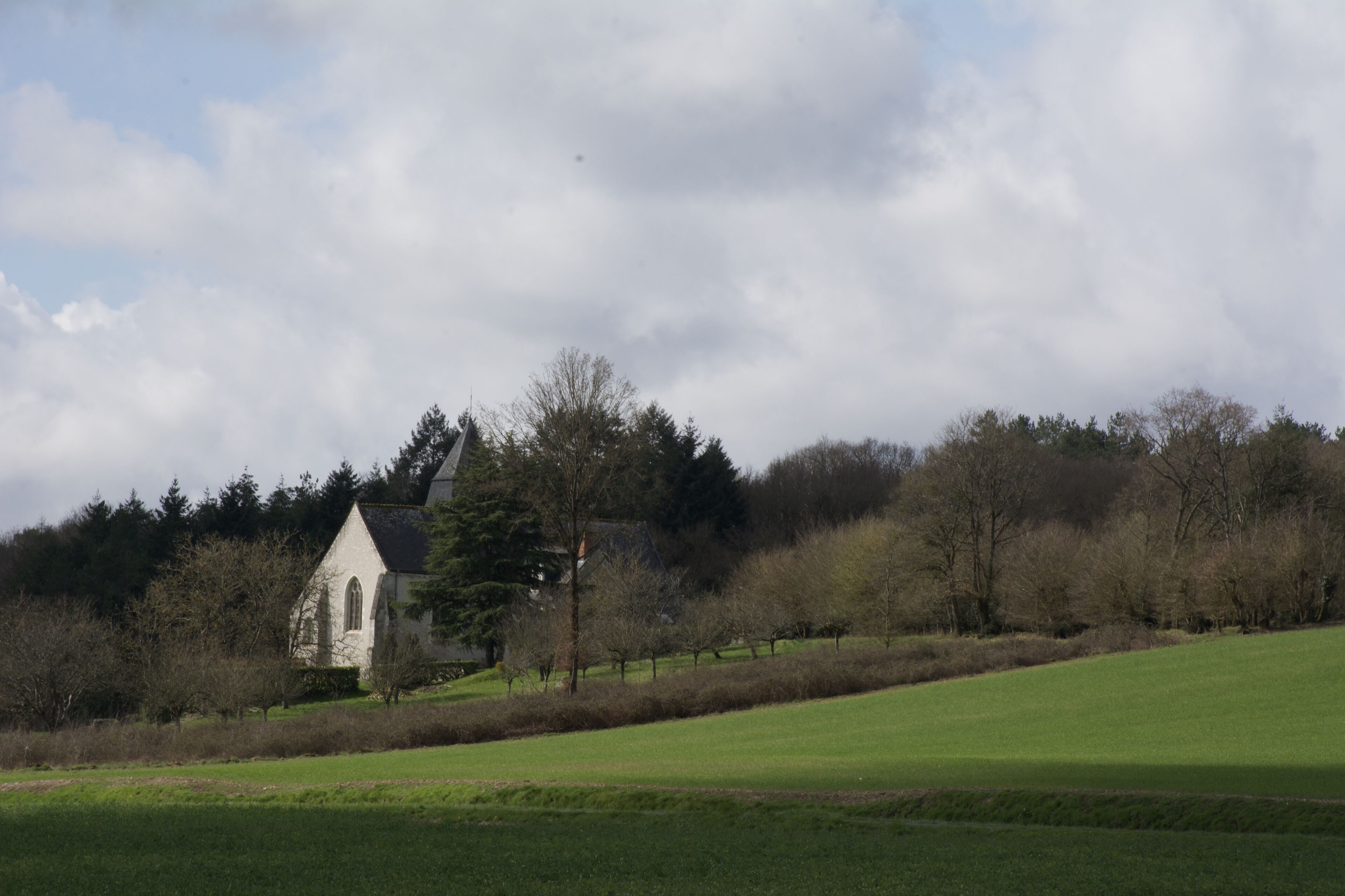 A white church with a pointed steeple, surrounded by a grassy field and trees.