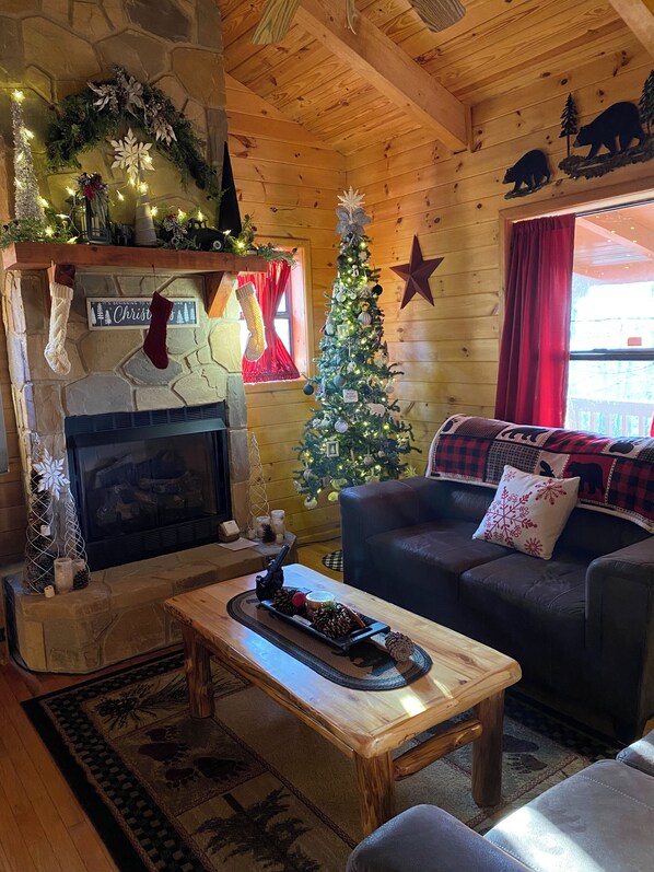 Smart TV, fireplace, DVD player, books