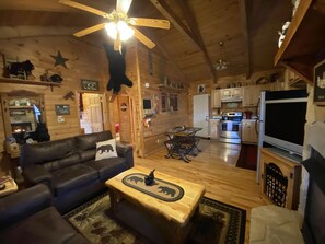 Smart TV, fireplace, DVD player, books