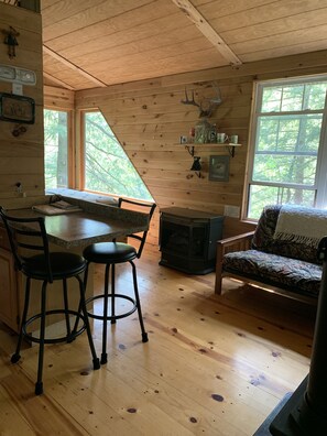 Fernseher, Kamin, Bücher