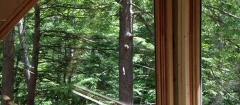 Cabin Creek Hide-Away (Letchworth) -vesiputoukset 100 Acren yksityisellä metsällä!