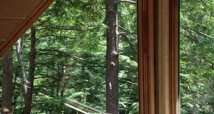 Cabin Creek Hide-Away by Letchworth State Park, Waterfalls, Woods, Off Grid.