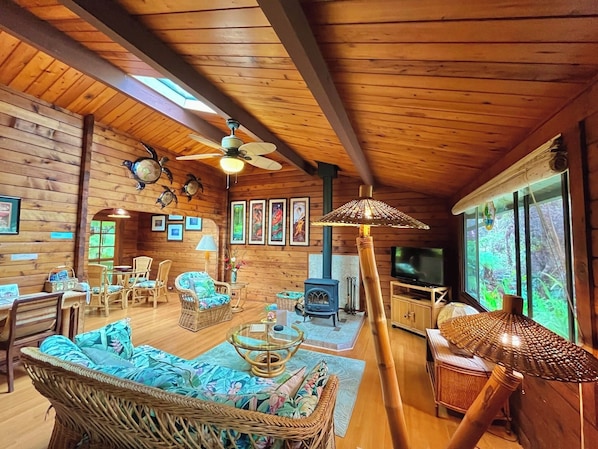 TV, caminetto, libri, impianto stereo