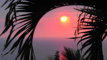 Un coucher de soleil vu à travers une arche formée par des palmiers.
