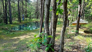 Une zone boisée avec un étang, des arbres et une nichoir.