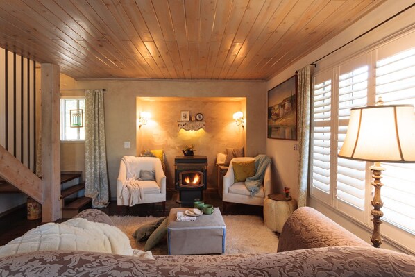 Chimenea, videojuegos, reproductor de DVD y libros 