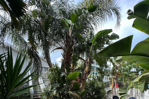 Overnattingsstedets uteområder