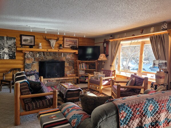 Smart TV, fireplace, books, video library