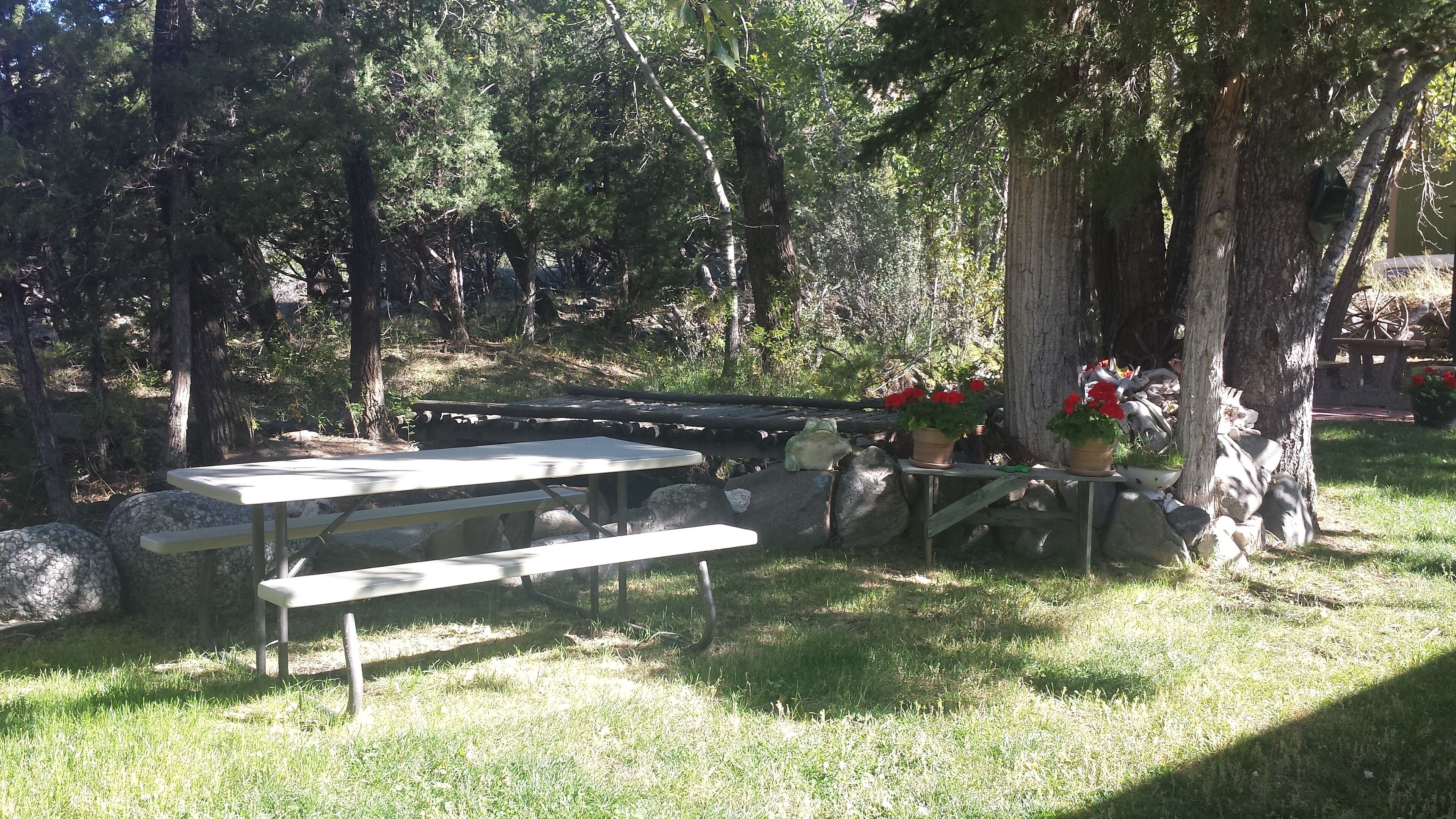 An outdoor picnic area with picnic tables and benches, surrounded by trees and potted plants.
