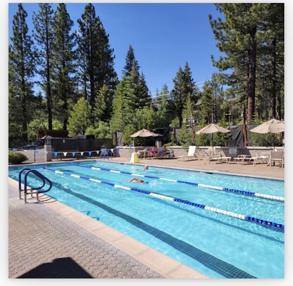 A swimming pool with lane dividers, surrounded by trees and shaded by umbrellas.