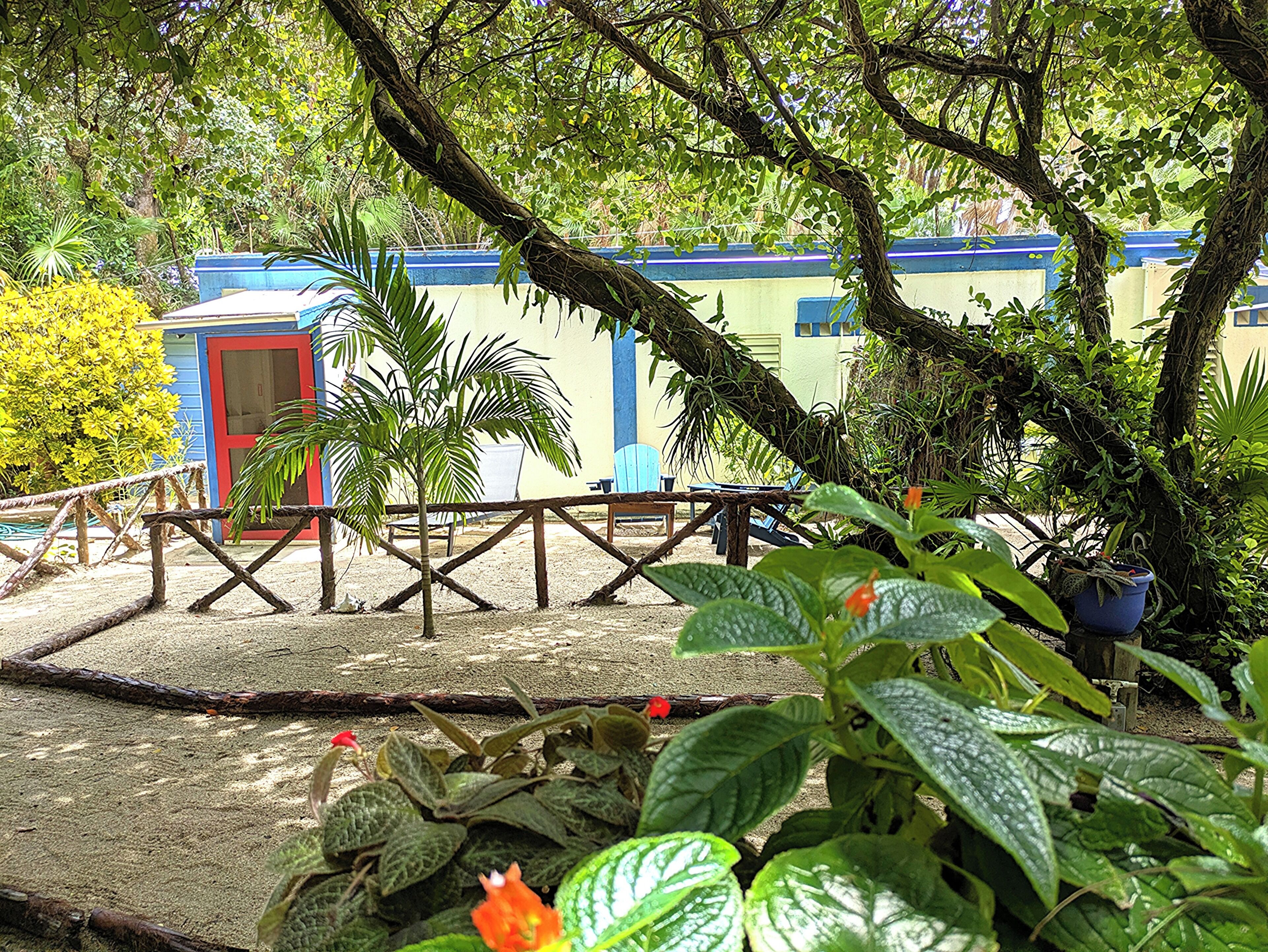 A tropical garden with a wooden deck, a red door, and a blue building in the background.
