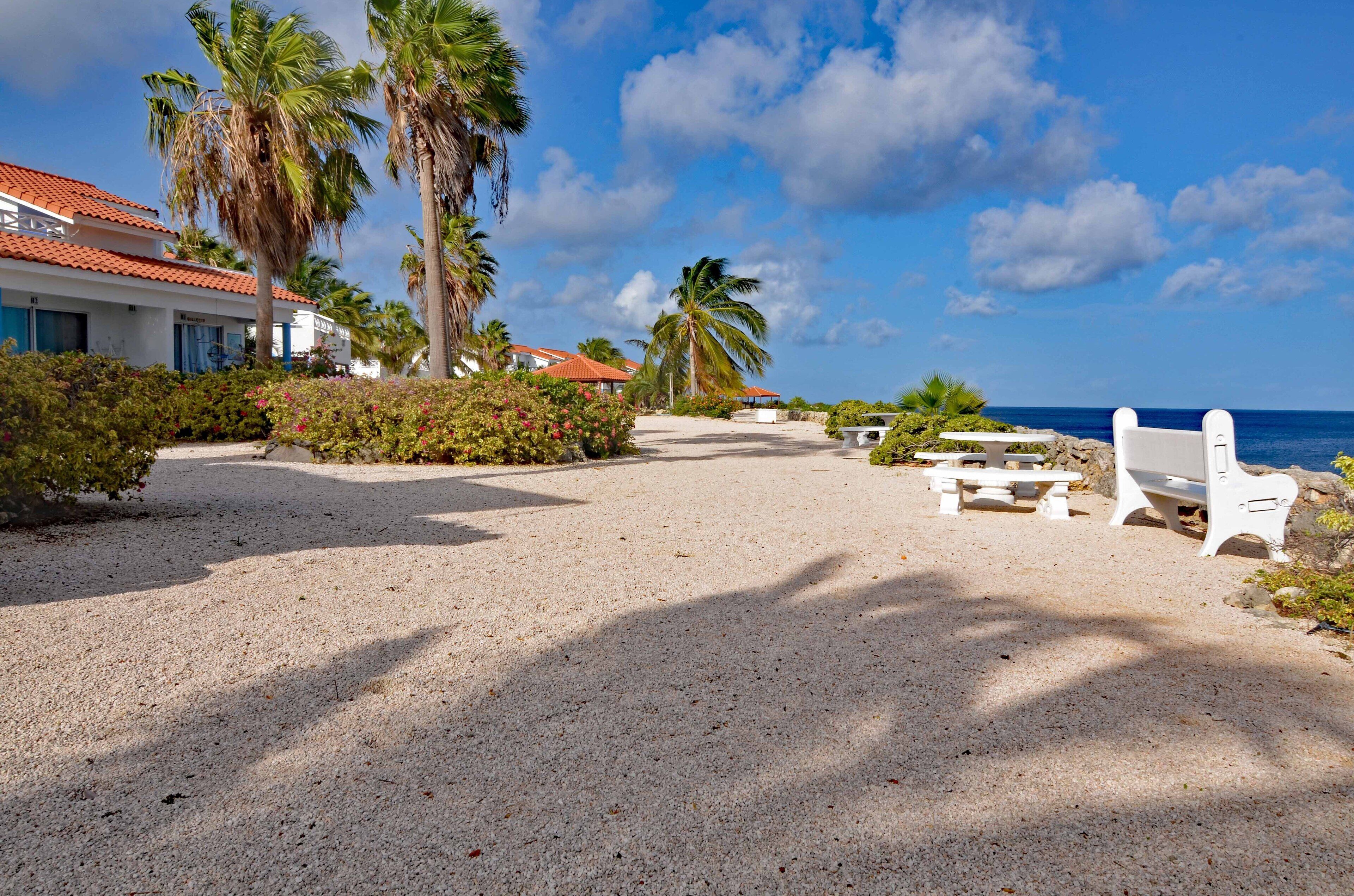 A gravel pathway leading to a beach with white benches and palm trees.