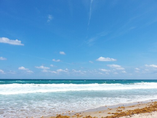 Grove 1 Bdrm/Bath Condo. 1 Blk walk Ocean & Dwtn Delray w/ Pool, Parking & WiFi