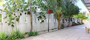 Property grounds - Cat Tien Guesthouse (Phan Thiet)