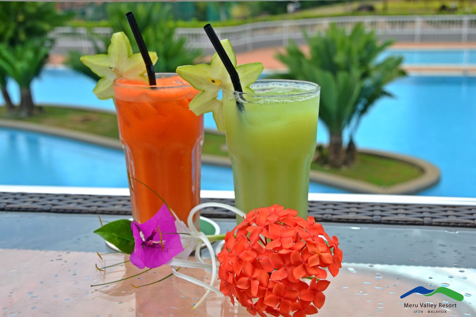 Two cocktails with straws and a decorative flower on a table by a poolside.