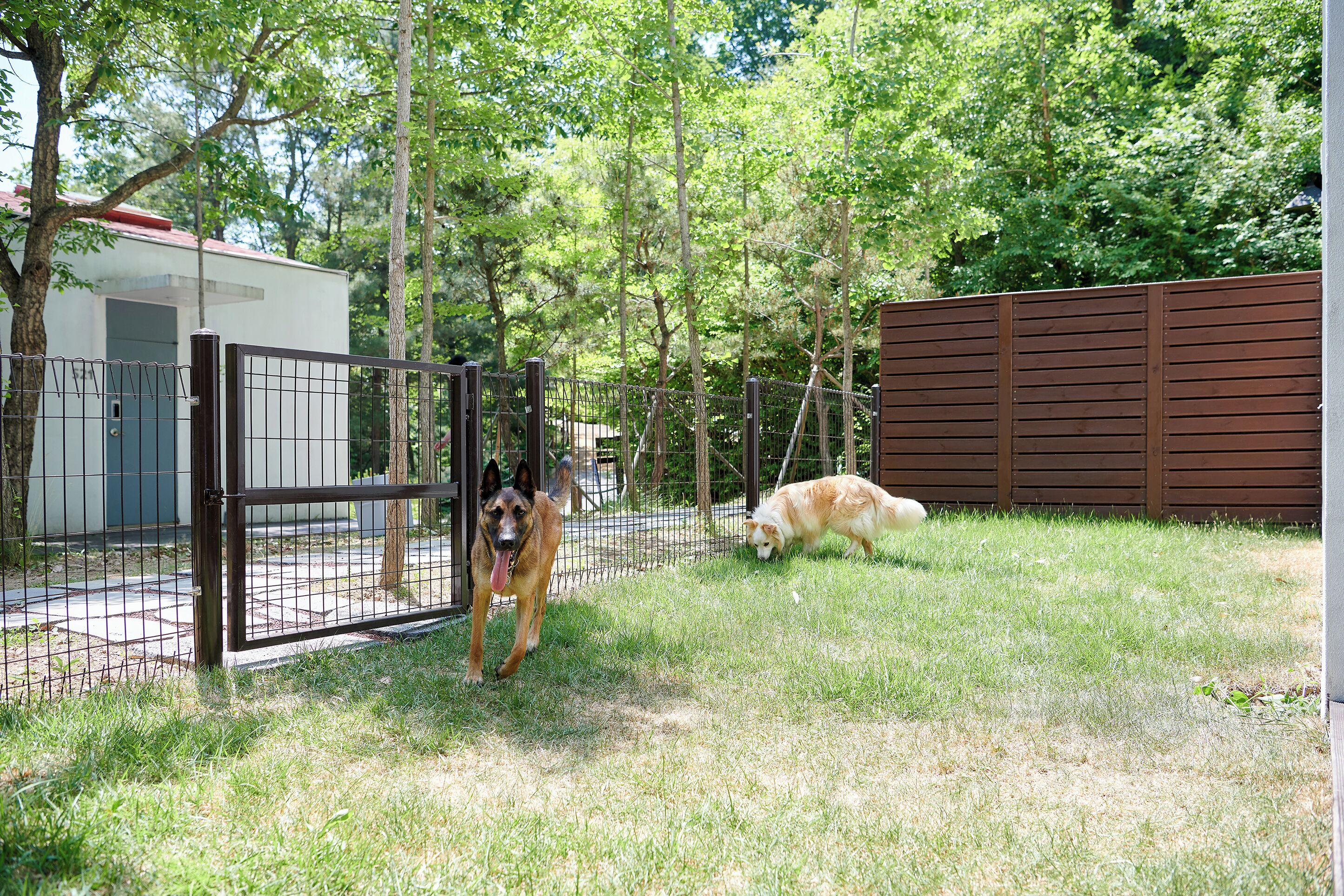 healipet terrace | 1 bedroom, individually decorated, desk, bed sheets