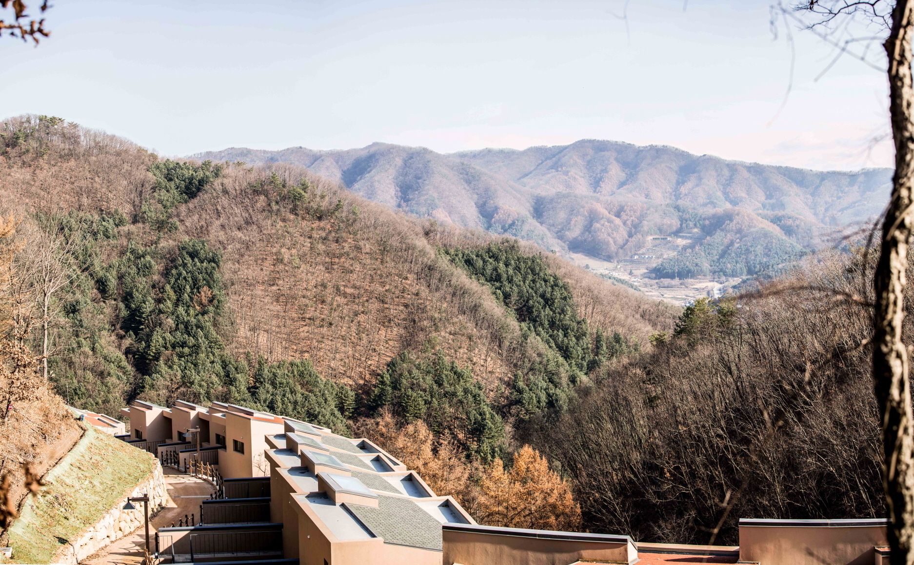 forest villa suite (2 pax breakfast& dinner /facilities) standard 2,max 4 (krw 68,000 extra person) | mountain view