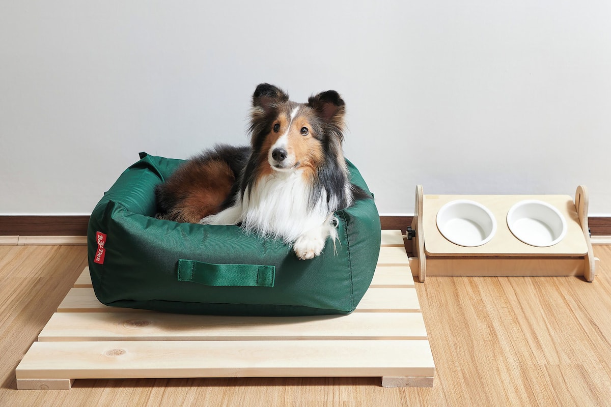 A dog resting in a green pet bed on a wooden platform, with a wooden feeding station beside it.