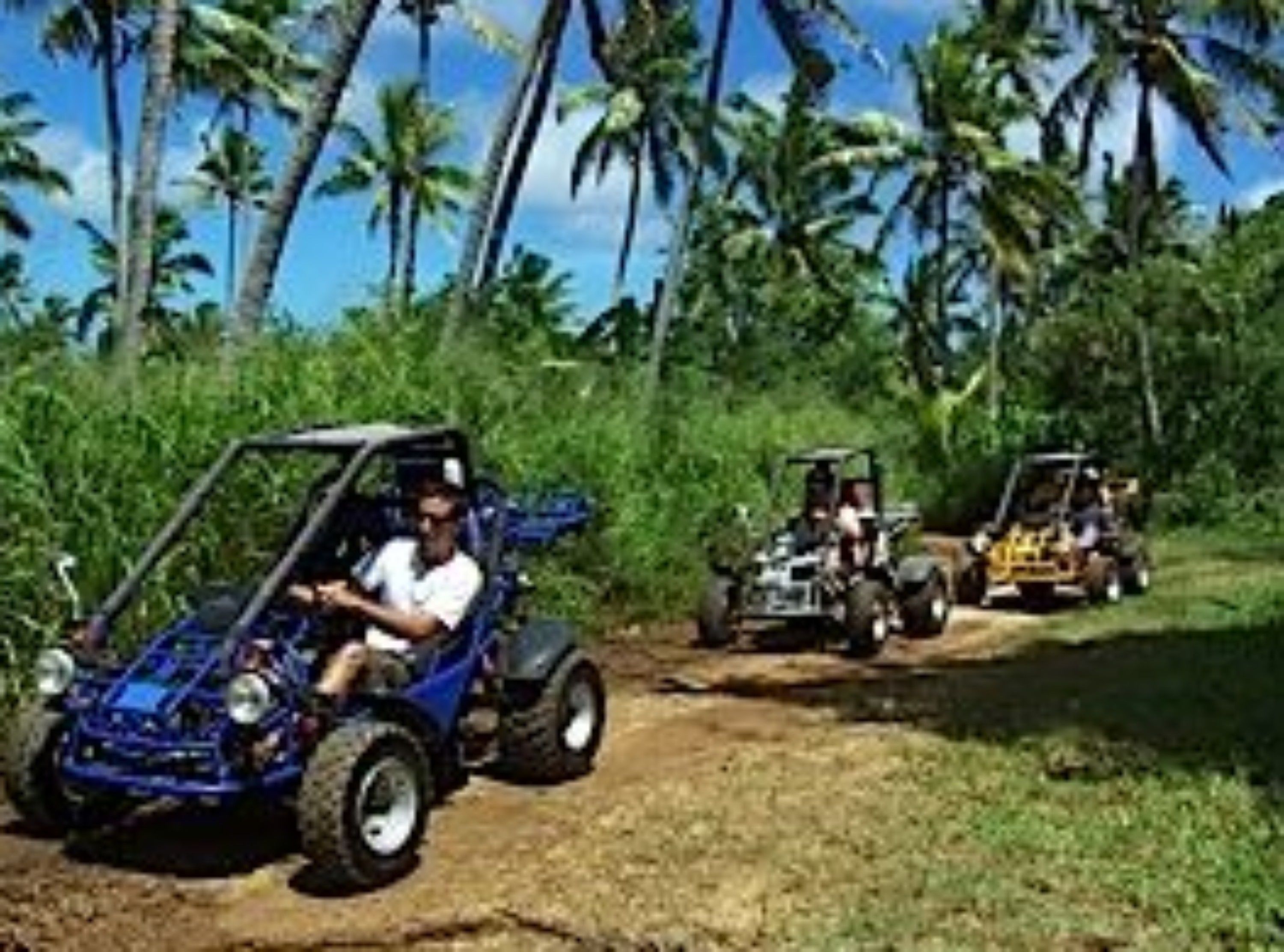 A blue off-road vehicle on a dirt path with palm trees in the background.