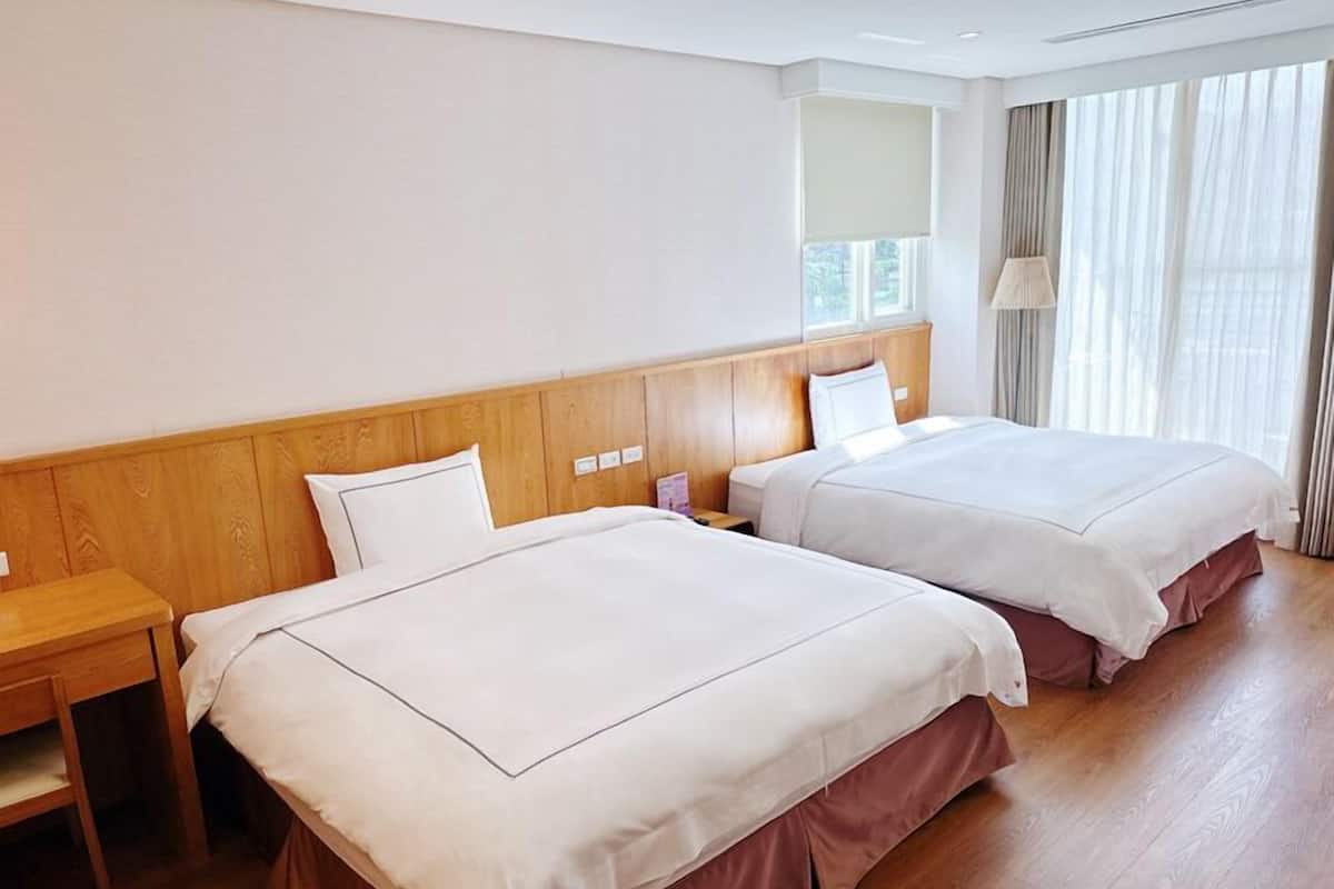 Habitación panorámica con 2 camas individuales | Edredones de plumas, cortinas opacas, wifi gratis