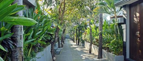 Un sendero bordeado de árboles y plantas que lleva a un edificio con una puerta oscura y un pequeño jardín.