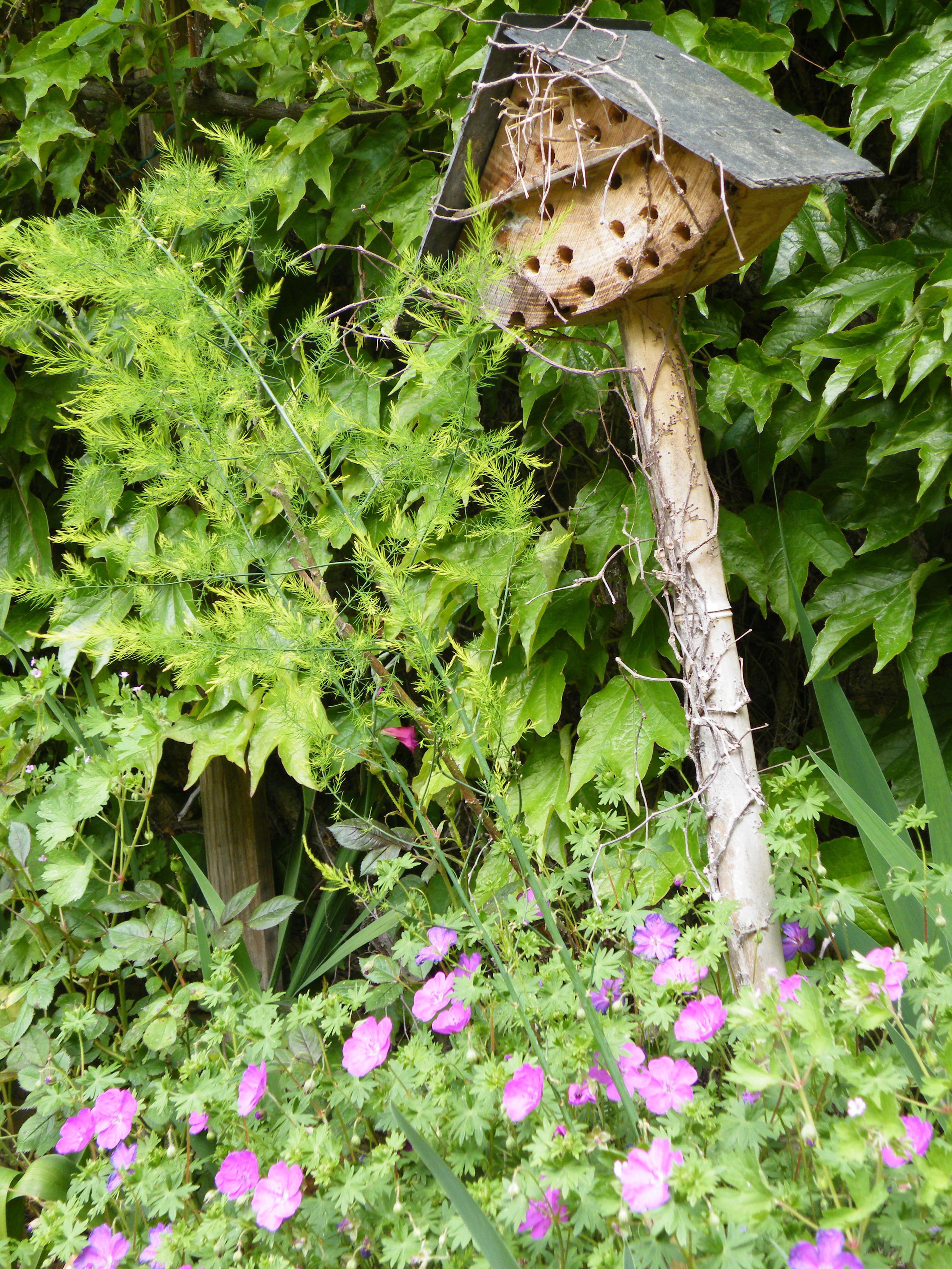A birdhouse attached to a wooden post surrounded by green foliage and purple flowers.