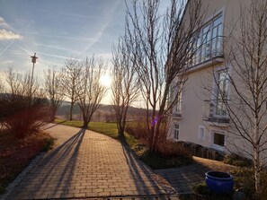 Een verhard pad dat naar een gebouw met een balkon leidt, omringd door bladerloze bomen en een heldere lucht.
