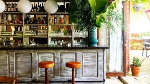 Una zona de bar con taburetes, una estantería llena de botellas y una planta grande.
