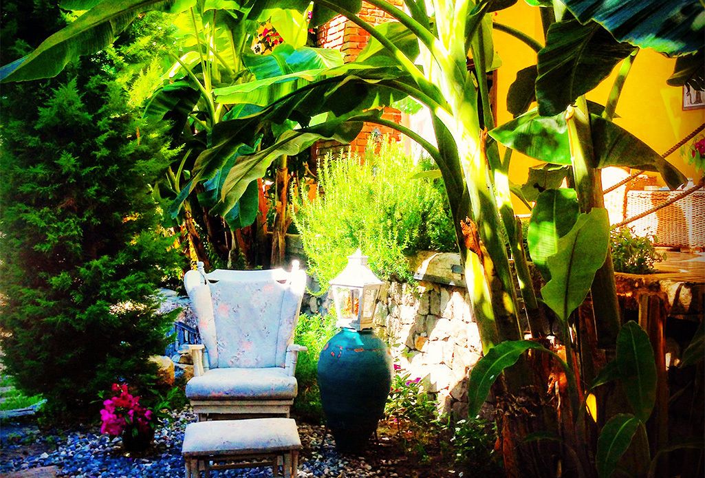 A garden with a chair, a large vase, and lush greenery.
