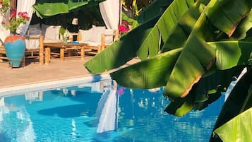 Outdoor pool, sun loungers