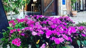 Una entrada de edificio con puerta de madera, plantas en macetas y un parterre de flores.