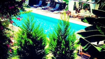 Outdoor pool, sun loungers