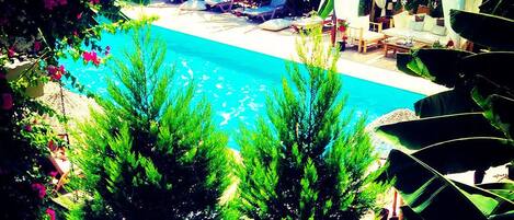 室外游泳池,日光浴躺椅