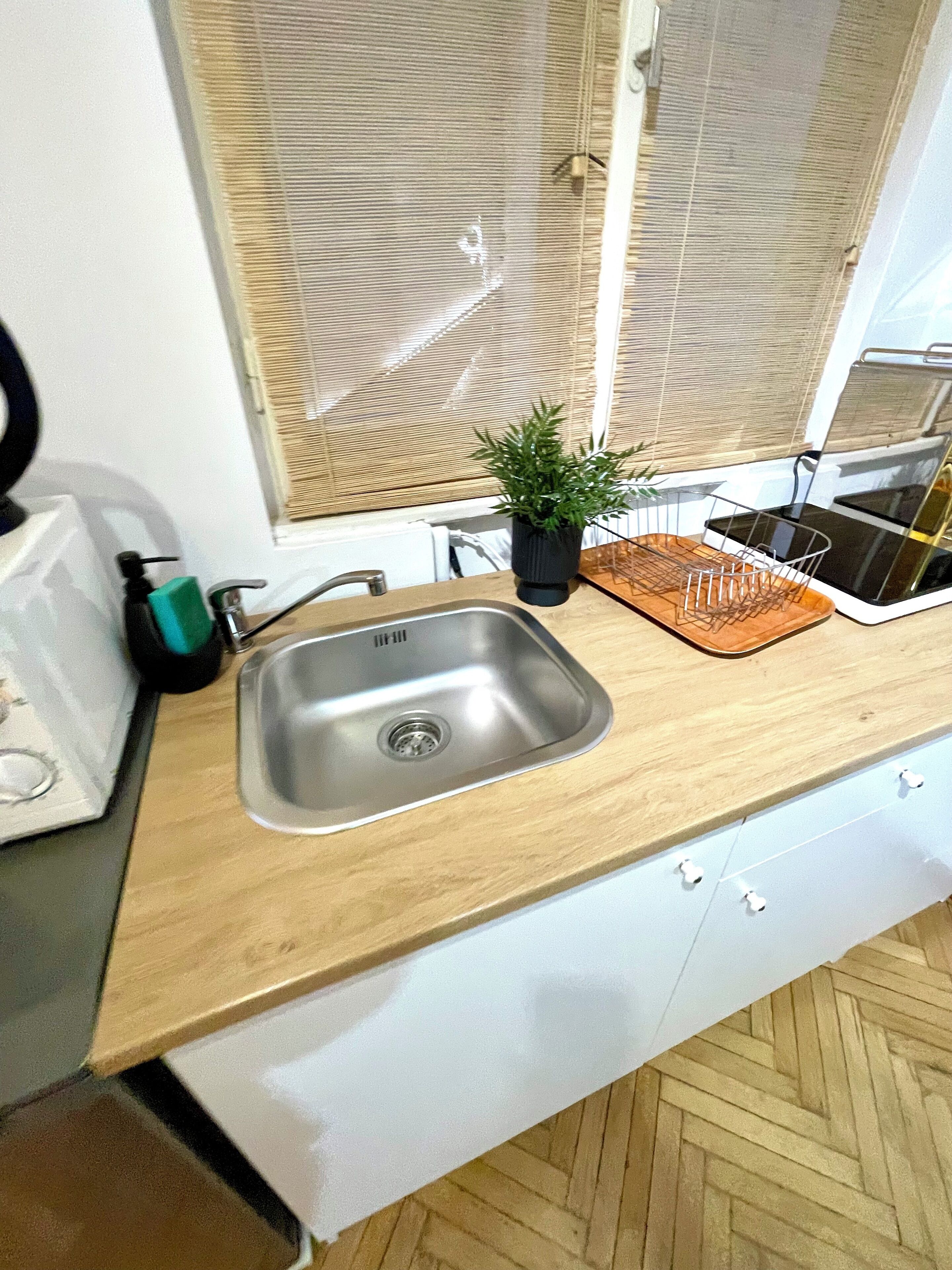 Una cocina con un lavamanos de acero inoxidable, una planta en maceta y una tableta sobre la encimera.