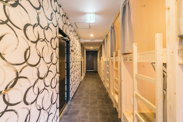 Shared Dormitory, Mixed Dorm