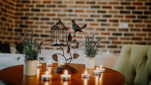 A table with candles, a birdcage, and potted plants against a brick wall.