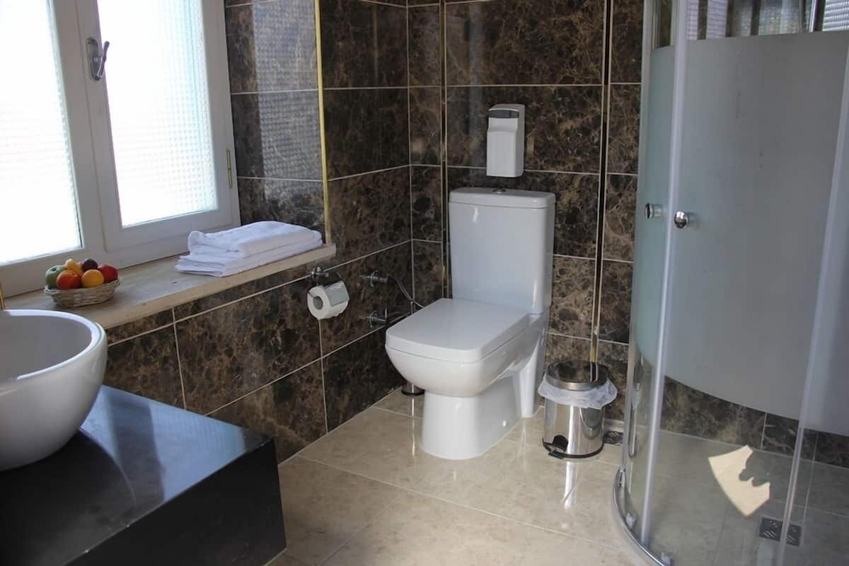 Shower, free toiletries, hair dryer, slippers
