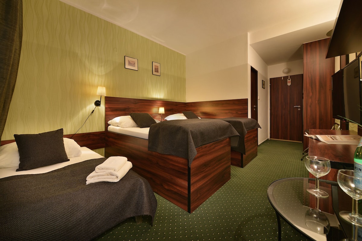 Quarto de hotel com duas camas, carpete verde, cabeceira de madeira, uma mesinha com um copo e uma televisão.