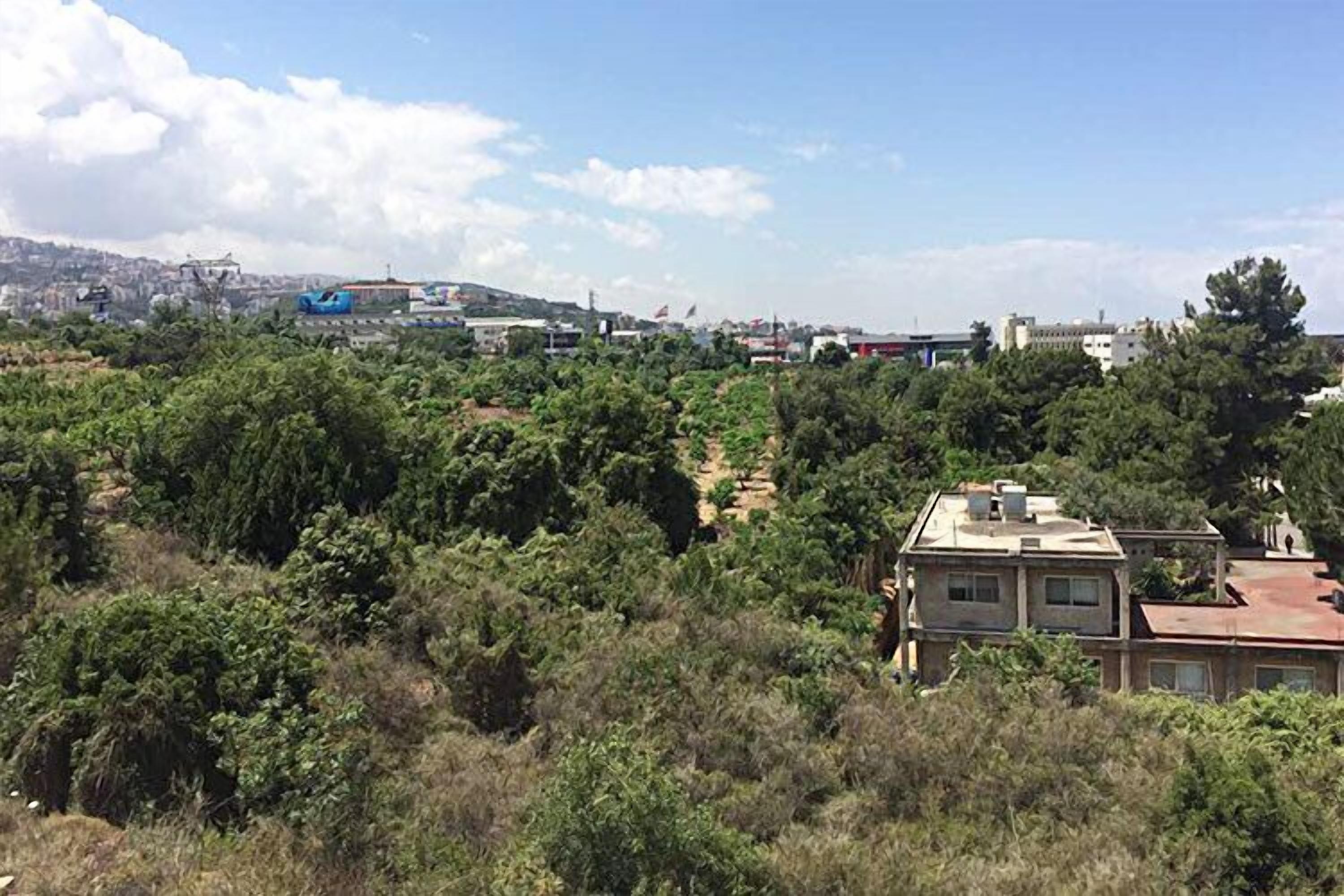 Pemandangan dari properti
