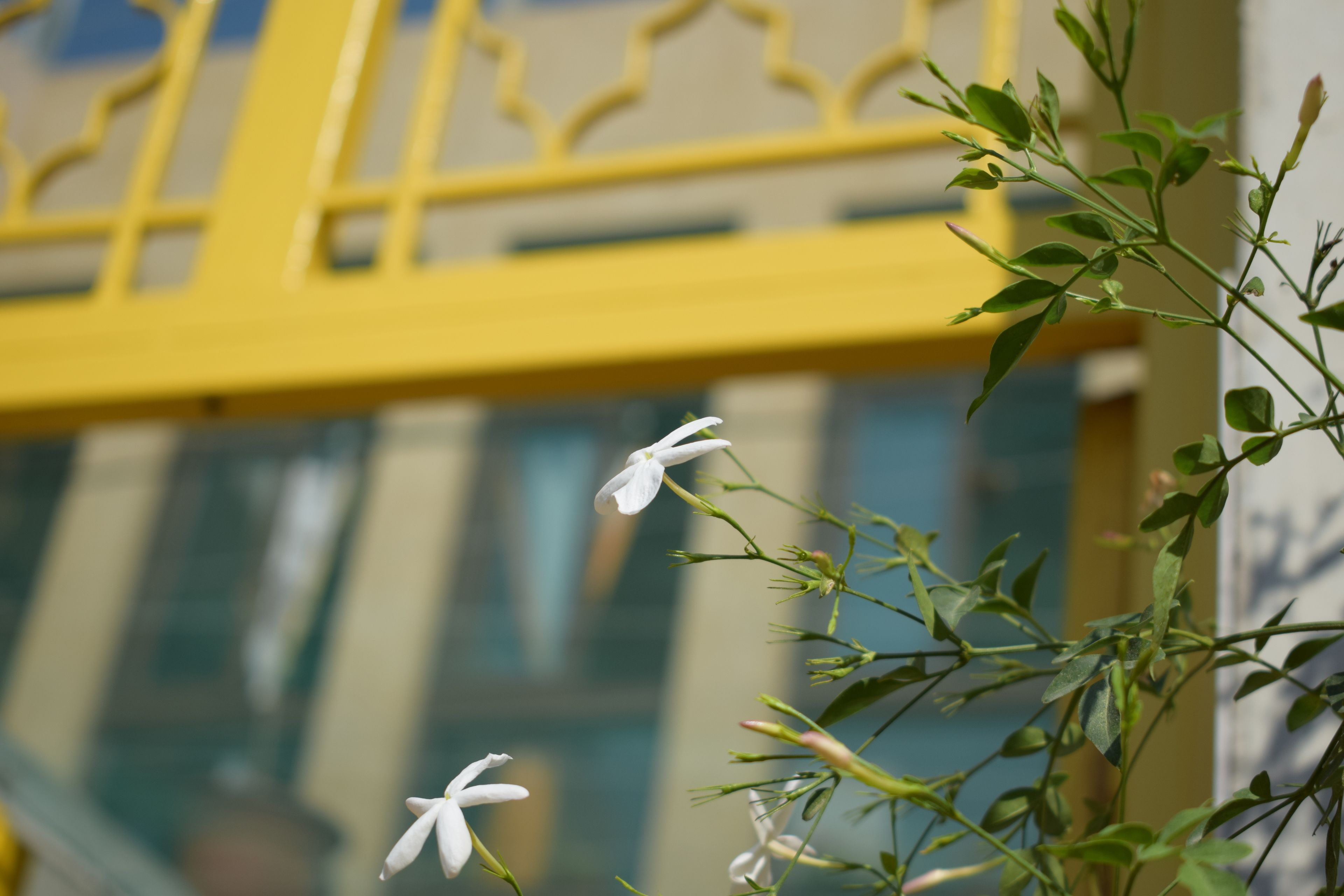 A yellow metal structure, possibly a gate or part of a fence, with a blurred background that suggests an urban setting.