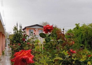 Un edificio residencial con jardín delantero.