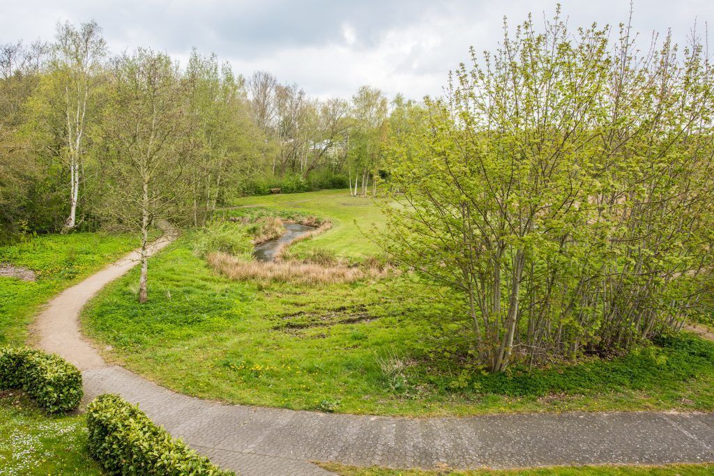 A natural landscape with a winding path, grassy areas, and trees.