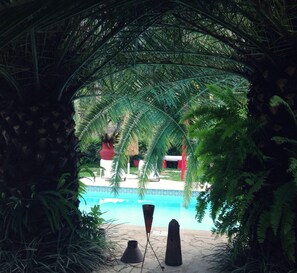 室外游泳池，提供泳池遮陽傘和日光浴躺椅