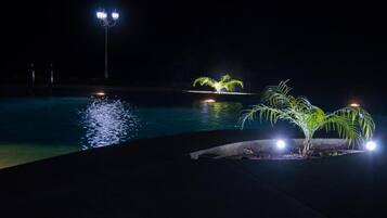 A nighttime pool area with illuminated plants and a distant light source.